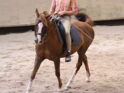 Juin 2010